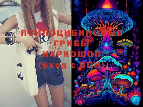 марки lsd Козельск