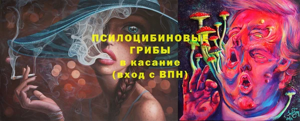 шишки Кинешма