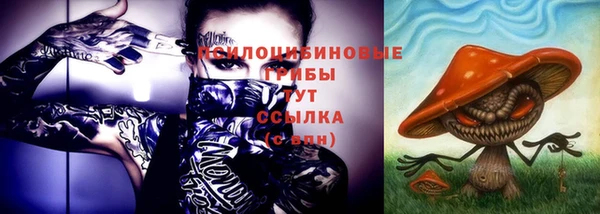 спиды Киренск