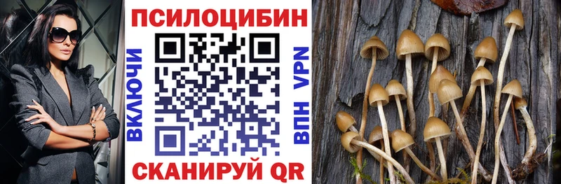 Псилоцибиновые грибы прущие грибы дарнет шоп Сосновка